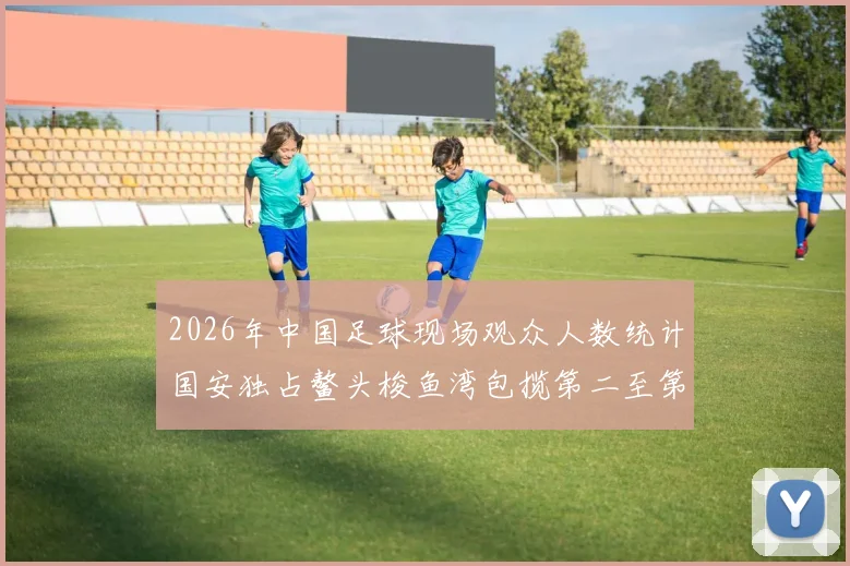 2026年中国足球现场观众人数统计国安独占鳌头梭鱼湾包揽第二至第七位